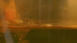 雞肉、鹽、料酒入冷水鍋水開后撇去浮沫，溫水洗凈。